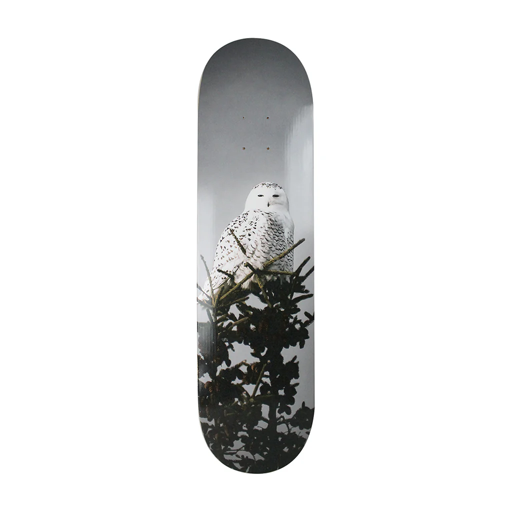 All I Need Deck Trembley Snow Owl 8.1"