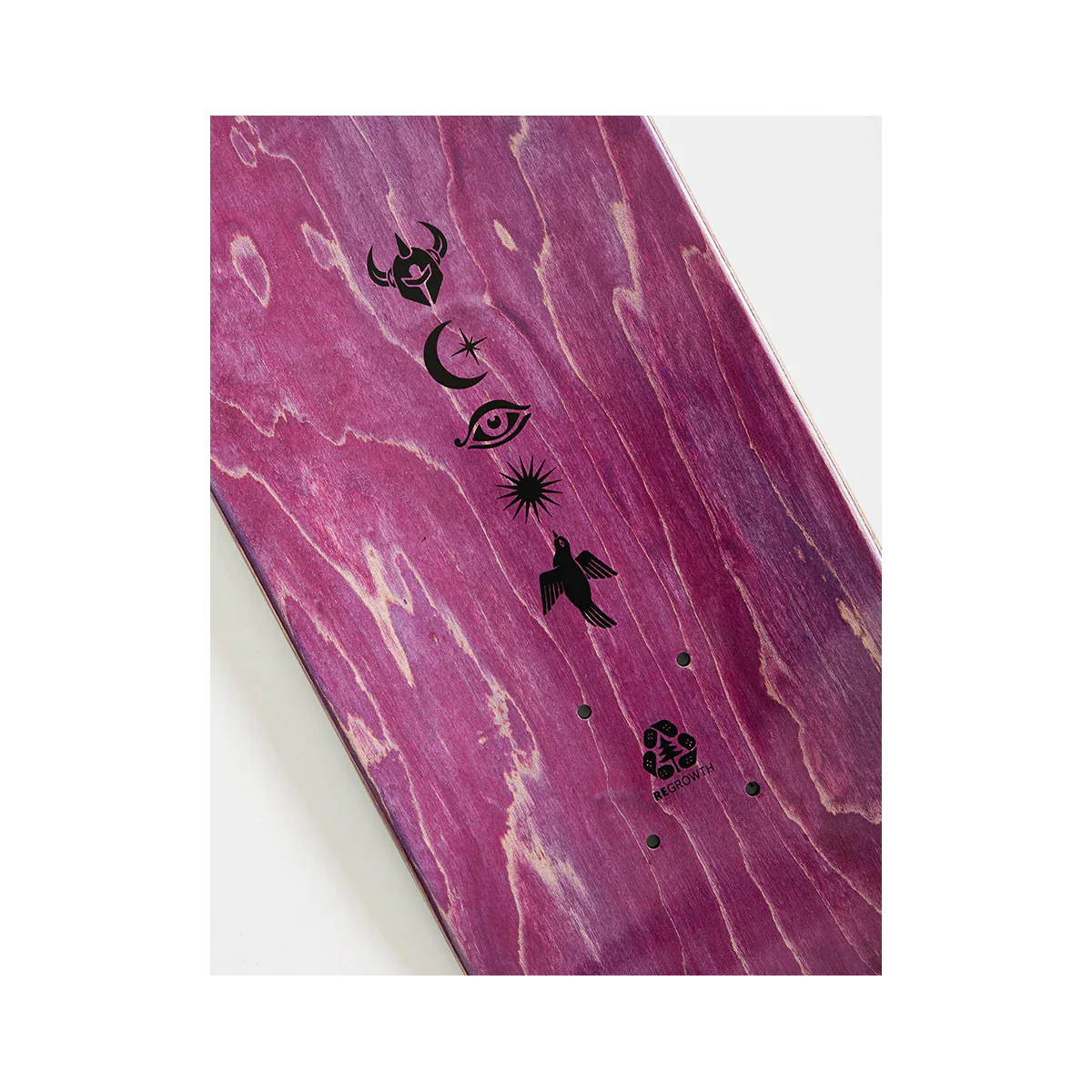 Darkstar Skateboard Deck Cameo Wilson Symbols R7 8.25" x 31.9" - Image 3