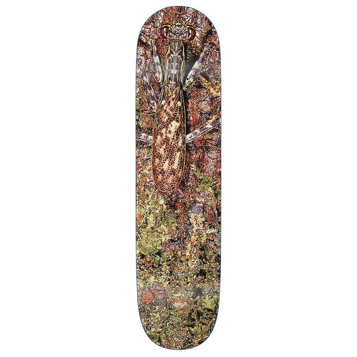 Glue Skateboard Deck Cryptic Coloration 8.25" x 32.125"