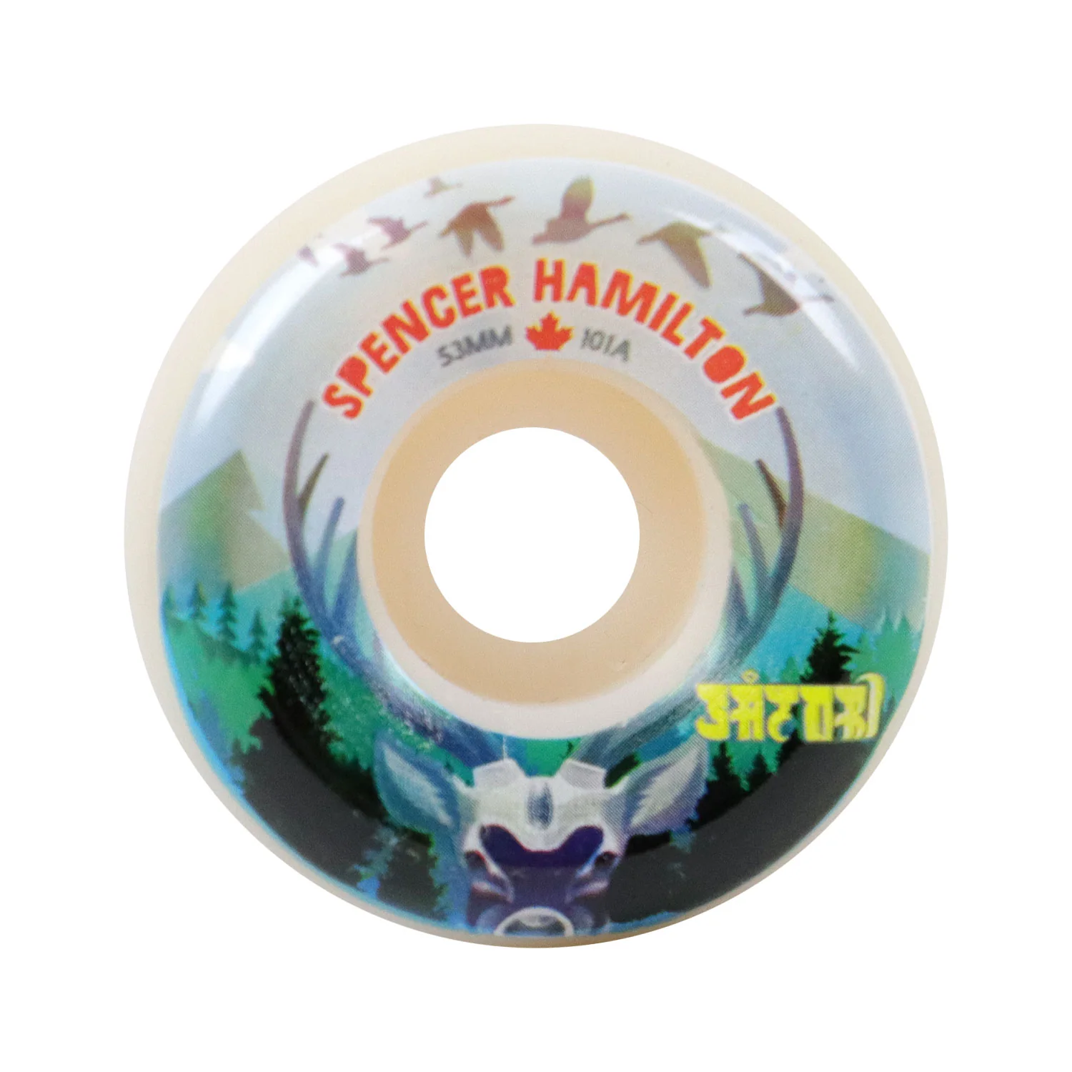 Satori Skateboard Wheels 53mm Spencer Hamilton Canada 101A with Spitfire Bearings - Image 2