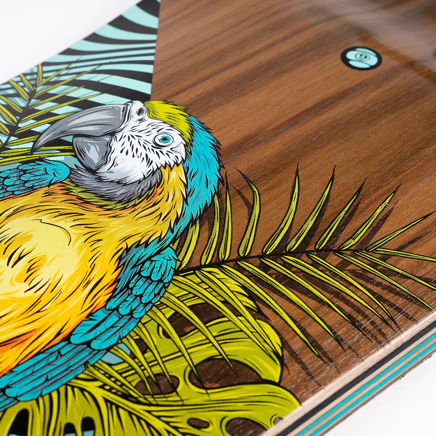 Sector 9 Longboard Complete Fault Line Perch Drop Down 9.75" x 39.5" - Image 2