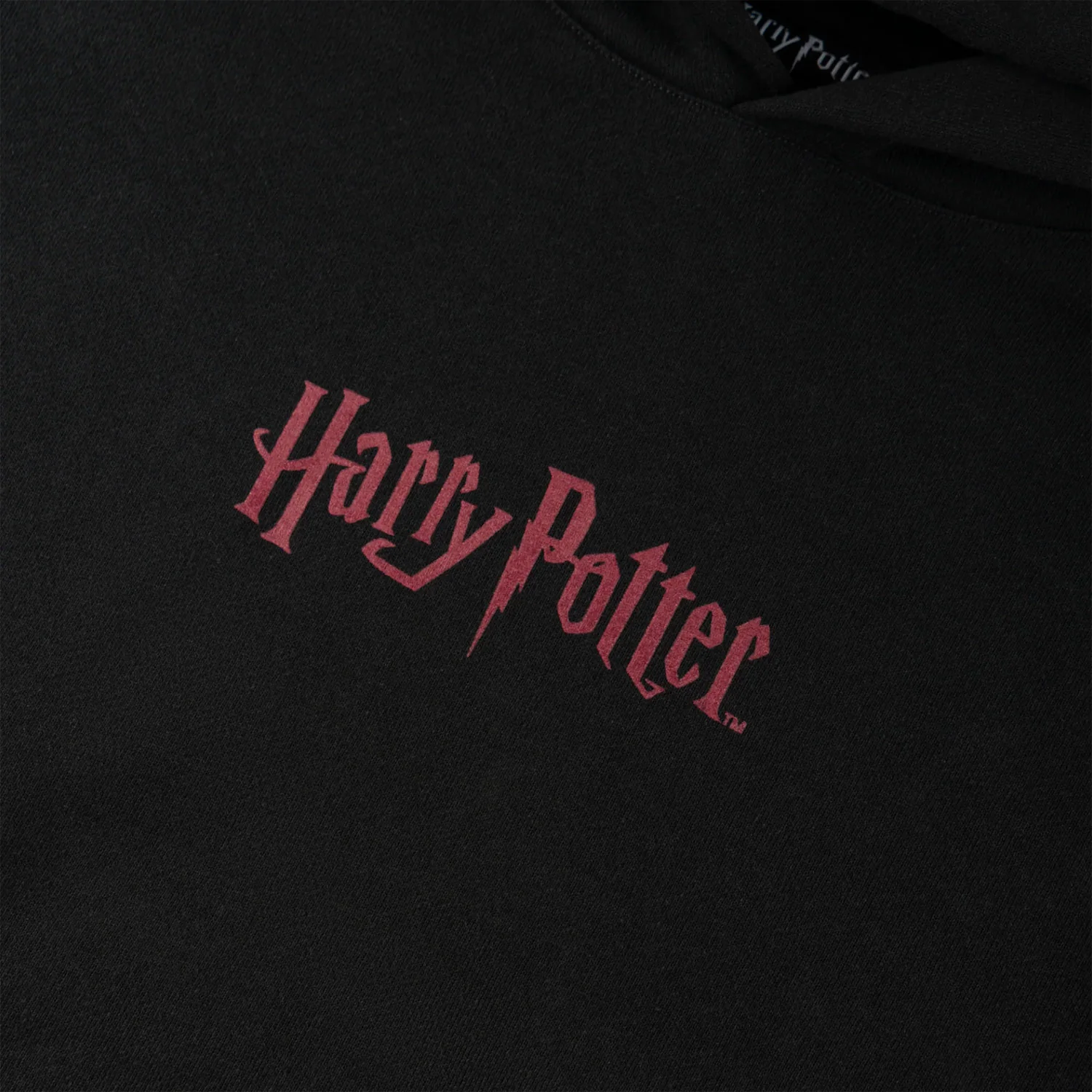 Welcome x Harry Potter Hoody Arrival Black - Image 4